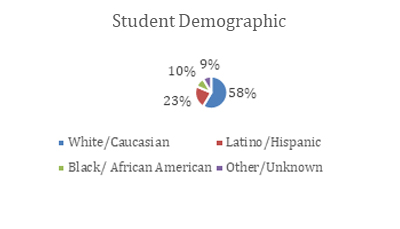 Student demographics